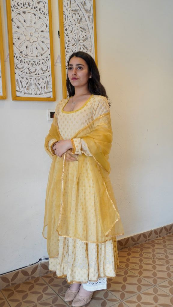 Nisa Beige Anarkali Set