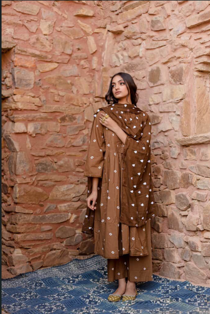 Ada Brown kurta set